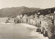 Alfred Noack, 