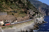 Manarola.