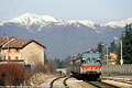 Classic diesel - Renate V.