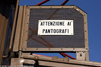 Targhe, fregi e ... animali - E.428.058.