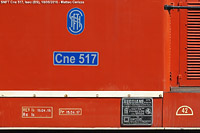 FNM ed SNFT - Cne 517.