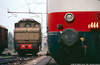 Fotografie di Giovanni Demuru - Milano Greco.