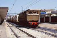 Fotografie di Giovanni Demuru - Ancona.