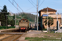 Fotografie di Giovanni Demuru - Carimate.