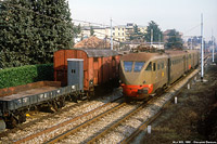 Fotografie di Giovanni Demuru - Macherio-Sovico.