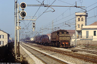 Fotografie di Giovanni Demuru - Lissone.