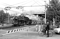 Vapore e trifase piemontese - Bra.