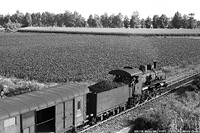 Intorno a Cremona - Maleo.