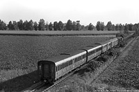 Intorno a Cremona - Maleo.