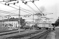 Vapore e trifase piemontese - Bra.