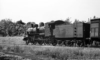 Vapore e trifase piemontese - Rovasenda.