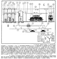 Ferrovie elettriche. - Trifase.