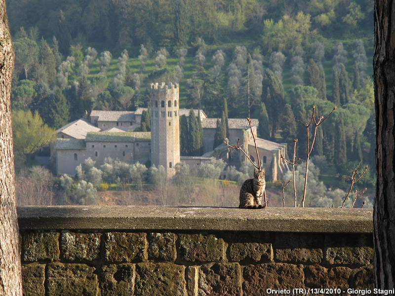 Orvieto - Campagna.