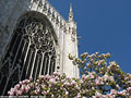 Le ore del duomo - Primavera.
