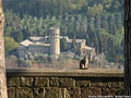 Orvieto - Campagna.