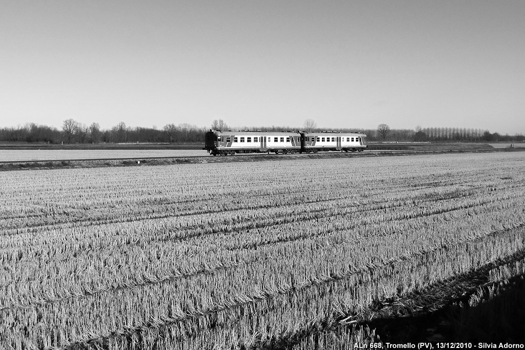 Paesaggi in bianco e nero - Tromello.