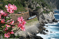 Levante - Manarola.