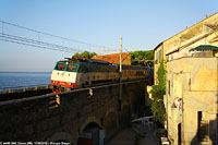 Cervo - Cervo.