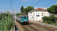 Cervo - Cervo.