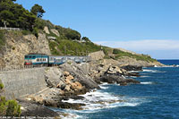 Cervo - Cervo.