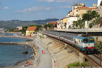 Cervo - Cervo.