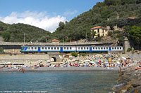 Cervo - Cervo.