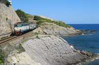 Cervo - Cervo.