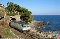 Cervo - Cervo.