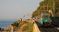 Cervo - Cervo.