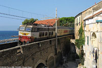 Cervo - Cervo.
