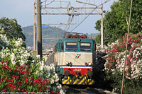 Laigueglia e altro - Diano.