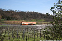 Dalla fine del 2009 ai GTW - Borgonato.