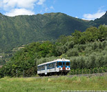 Dalla fine del 2009 ai GTW - Sale Marasino.