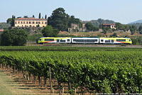 Dalla fine del 2009 ai GTW - Bornato.