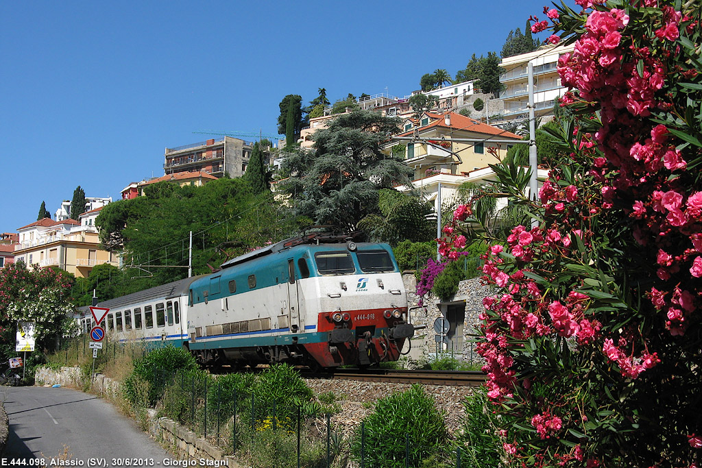 Oleandri in fiore - Alassio.