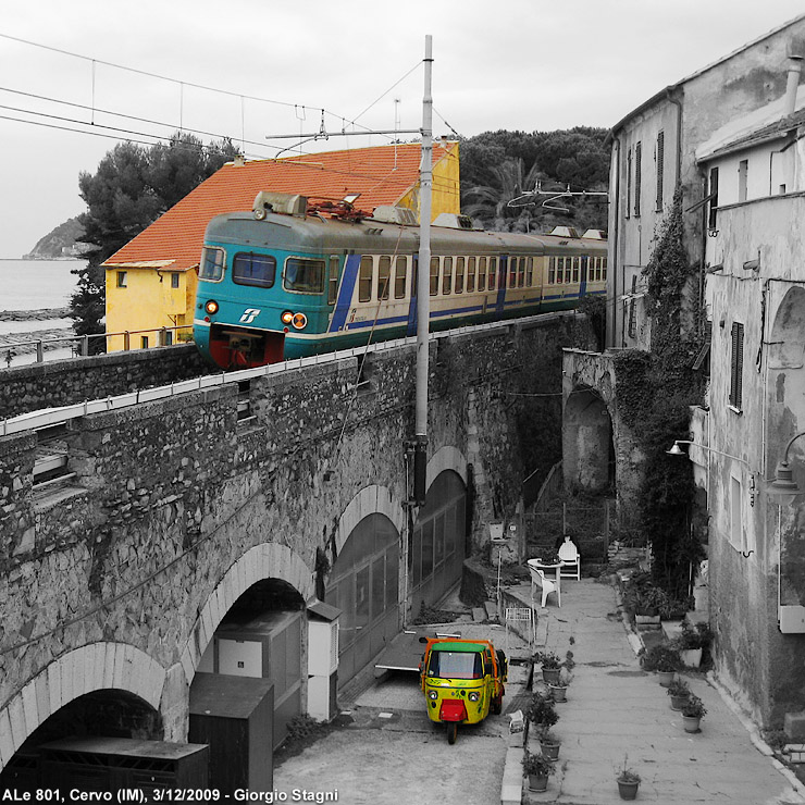 Bianconero - colore - Cervo.
