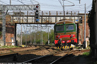 Diesel di pianura - Valenza.