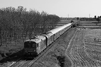 Historical! - Mede.