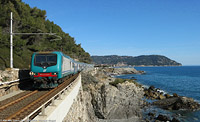 L'(ultimo) inverno - Cervo.