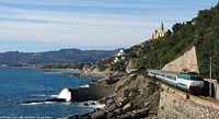 L'(ultimo) inverno - Cervo.