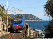 L'(ultimo) inverno - Cervo.