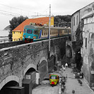 Bianconero - colore - Cervo.