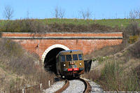 ALn 556 a Siena (2009) - Montalcino.