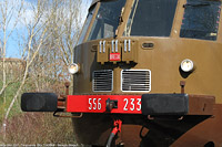 ALn 556 a Siena (2009) - Trequanda.