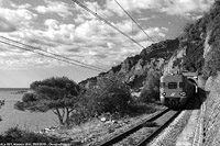Riviera. - Alassio.