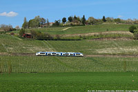 Il Roero da Bra ad Alba - S.Vittoria d'Alba.