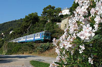 Estate 2012 - Di alba e di Intercity - Andora.