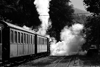 CP - Chemins de Fer de Provence - Puget-Thniers.