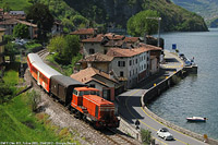 Il Cne - Toline.