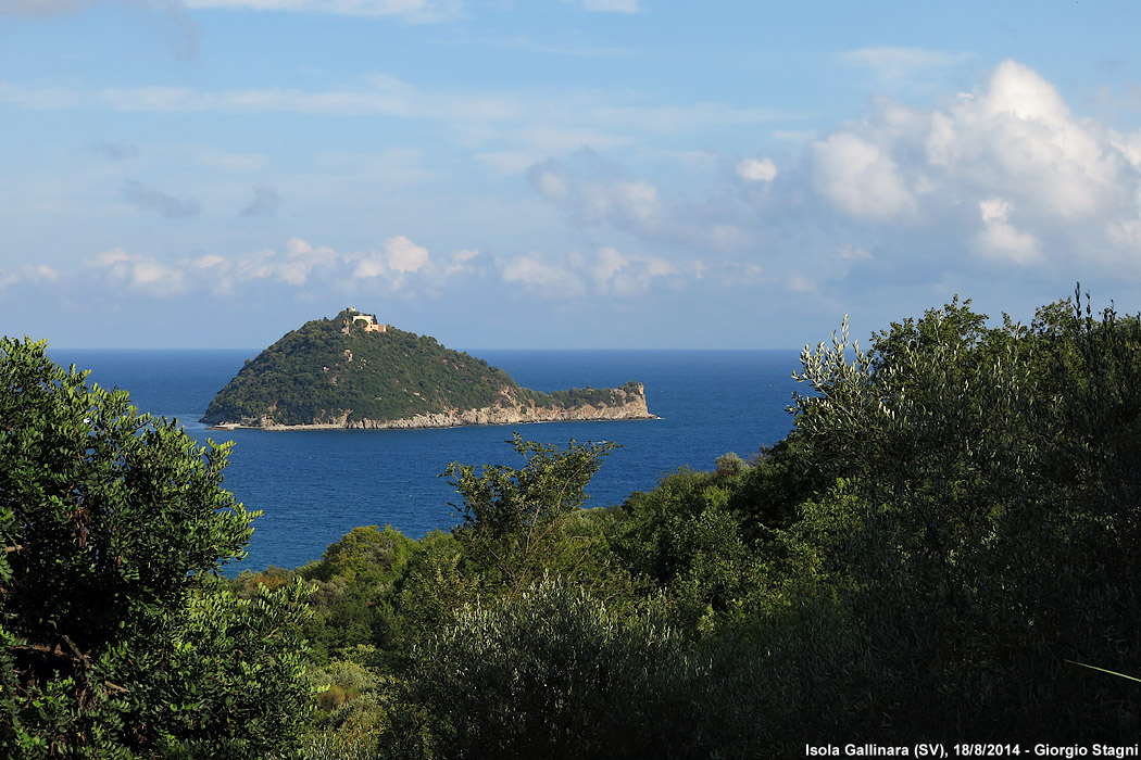 Guardando l'Isola Gallinara - Dal Vadino.